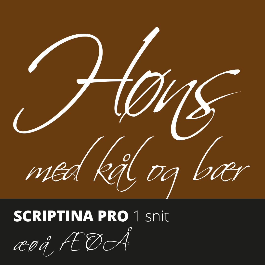 Skriftprøve på Scriptina Pro font med æ, ø og å.